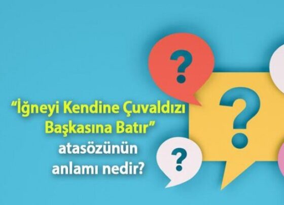 İğneyi Kendine Çuvaldızı Başkasına Batır Atasözünün Anlamı Nedir? Kısaca Açıklaması Ve Örnek Cümle…