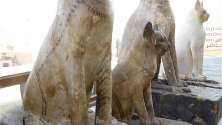 Mısır’da kedi mumyaları ve  heykelleri bulundu