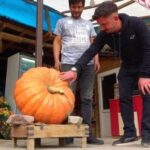 Amasya’da 30 kiloluk bal kabağı