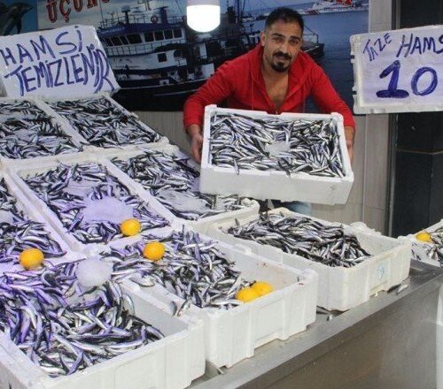 Hamsinin kilosu 10 liraya düştü