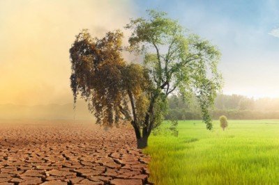 Paris Anlaşması’na ilişkin kanun Resmi Gazete’de yayımlanarak yürürlüğe girdi