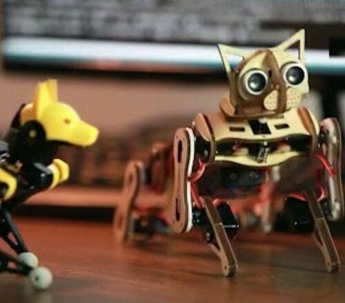 Robot kediden sonra robot köpek: El sallıyor, zıplıyor