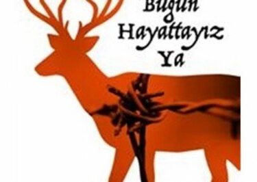 Bugün Hayattayız Ya