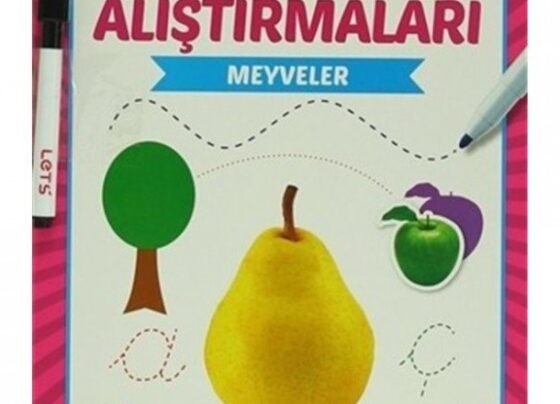 Çizgi Alıştırmaları – Meyveler
