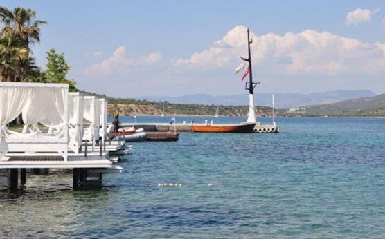 Ege’nin tropik güzeli: Dikili