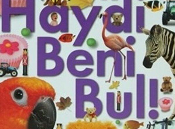 Haydi Beni Bul