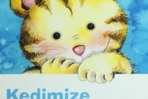 Kedimize Nasıl Bakacağımızı Öğrenelim