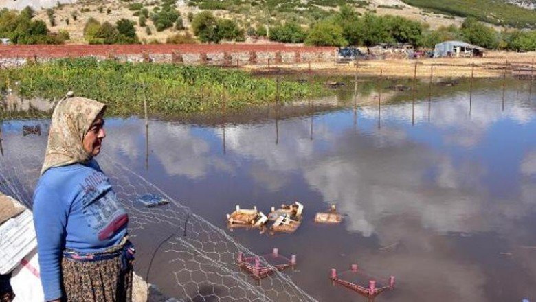 Muğla’da kuvvetli yağış! Her yer göle döndü, hayvanlar öldü