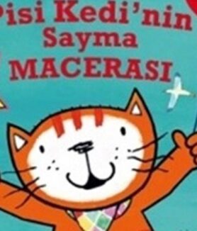 Pisi Kedi’nin Sayma Macerası