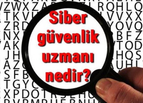 Siber güvenlik uzmanı nedir, ne iş yapar ve nasıl olunur? Siber güvenlik uzmanı olma şartları, maaşları ve iş imkanları