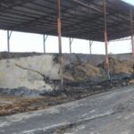 Amasya’da besi çiftliğinde çıkan yangında 200 ton saman ve 25 ton yem zarar gördü