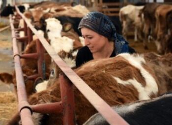 Üniversite mezunu kız kardeşler devletten destek aldı! Şimdi baba mesleğini devam ettiriyor