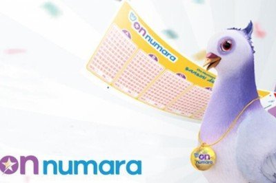 On Numara çekilişi için heyecanlı bekleyiş! On Numara sonuç ekranı millipiyangoonline’da