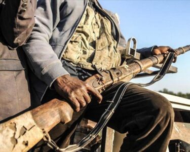 Boko Haram üyesi 37 kişi etkisiz hale getirildi