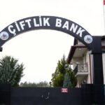 Çiftlik Bank’ın kurucusu Aydın’ın ağabeyi Türkiye’ye iade edilecek