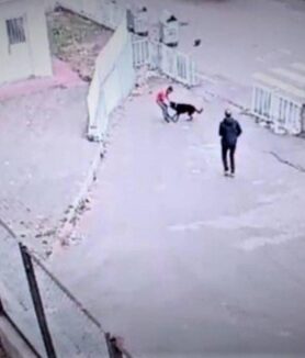 Köpeğin saldırısına uğrayan çocuğu güvenlik kurtardı