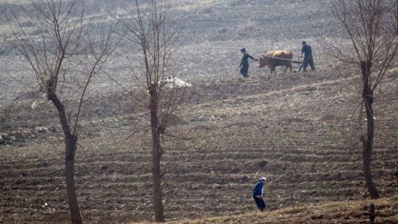 Kuzey Kore’de ‘birçok insan kış aylarında açlıktan ölebilir’