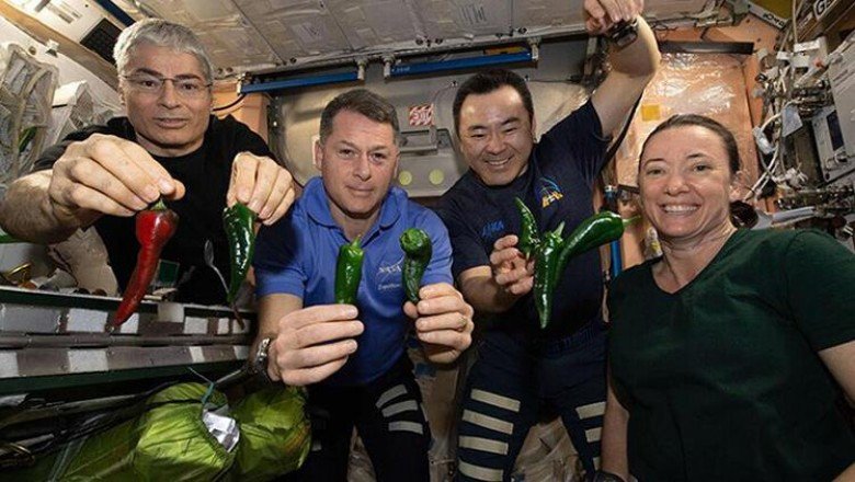 Space X’ten şoke eden haber! Tuvaleti bozulan mekikte astronotlara bez bağlayın talimatı! – Hürriyet