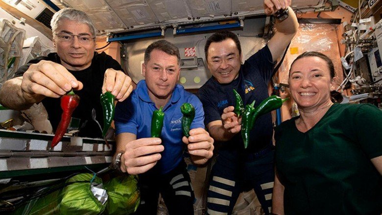 ISS’de tuvalet krizi: Astronotlar yetişkin bezi ile Dünya’ya dönecek