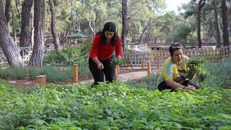 Büyükşehir’den aromatik bitkili ‘Koku Bahçesi’
