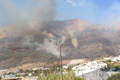 Mersin’de orman yangını