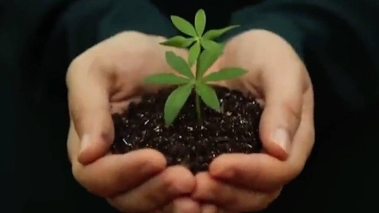 İletişim Başkanı Altun’dan Milli Ağaçlandırma Gününe özel video