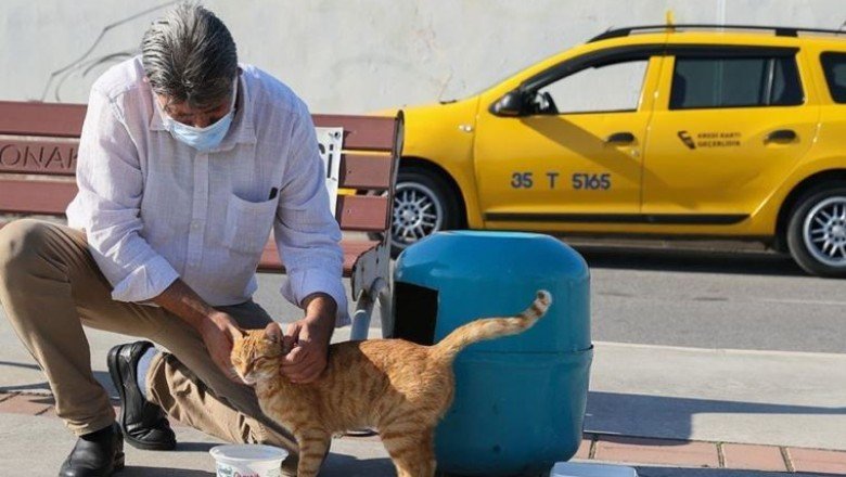 İzmirli taksici ‘mama kutusunda’ biriken parayla sokak kedilerini besliyor