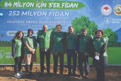 İstanbul’daki eski maden ocağı alanı ağaçlandırılıyor