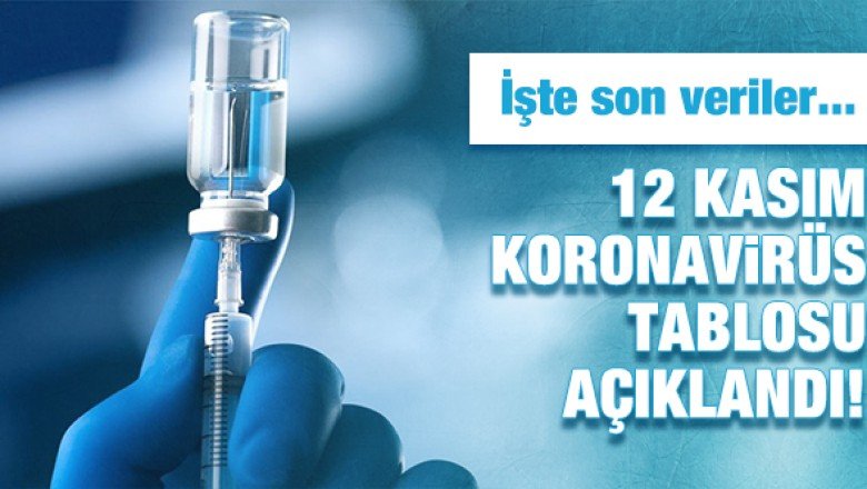 12 Kasım koronavirüs tablosu açıklandı! İşte son veriler…