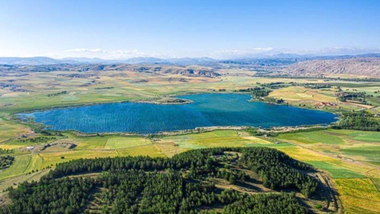 Sivas'taki kuş cenneti Hafik Gölü, doğaseverlerin ilgisini çekiyor