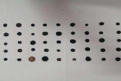 Gaziantep’te Roma dönemine ait olduğu değerlendirilen 45 sikke ele geçirildi