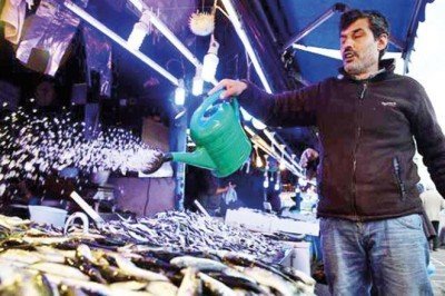 Hamsi sürüleri kuzeye gidiyor! Kilosu 10 TL’den 20 TL’ye çıktı