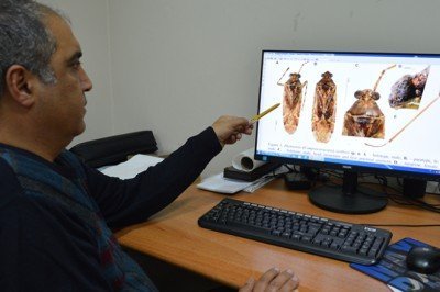 Türkiye’de keşfedilen böcek türüne eski bakanın ismi verildi