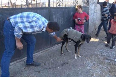 Aksaray’da şaka gibi olay! Köpek kümese girip yumurtaları yedi… İki aile birbirine girdi