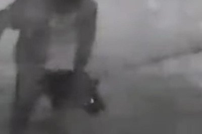 Daha önce bir kediyi öldürmüştü… Şimdi de köpeğe işkenceden serbest!