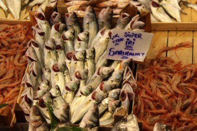 Kilosu 80 lira… Kapış kapış satılıyor