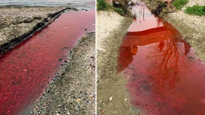 Korkutan görüntü: Dere kırmızıya büründü… Halk tedirgin!